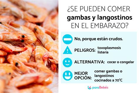 longaniza embarazo|¿Se pueden comer GAMBAS y LANGOSTINOS .